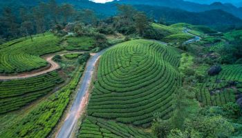 Kerala Tour Package 5N - 6D