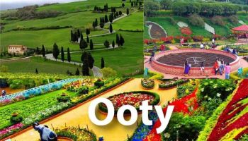 Ooty And Coorg Tour Package 4N - 5D