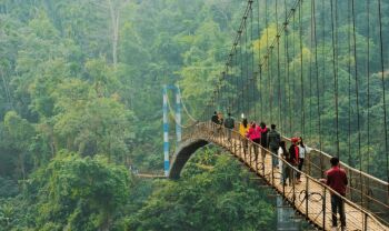 Pelling Tour Packages