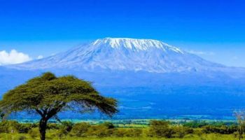 Private Kilimanjaro National Park Day Tour