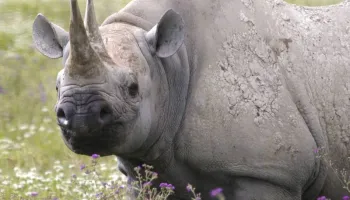 8-Day Private Camping Tour