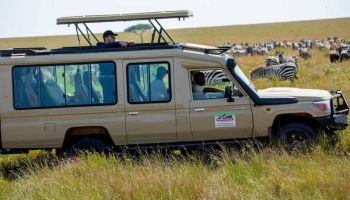 4 Days Migration Safari Western Corridor Tour