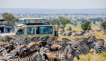 6 Days Migration Western Corridor Tour