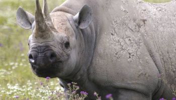 6 Days Tanzania Private Experience Tour