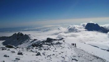 8 Days Mount Kilimanjaro Trekking Lemosho Route Tour