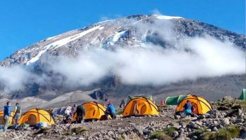 7 Days Lemosho Route Kilimanjaro Climb Tour