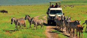 9-Day Tanzania Wildlife Safari Tour