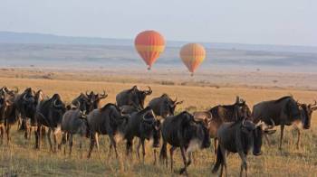 Ngorongoro Tour Packages