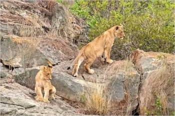 Ngorongoro Tour Packages