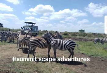 5-Day Serengeti Migration and Big Five Luxury Safari