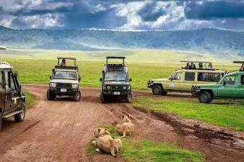 2 Days 1 Night Safaris