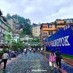 Yumthang Tour Packages
