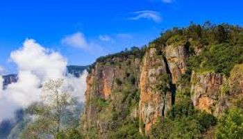 South India Hill Stations Tour-5N 6D