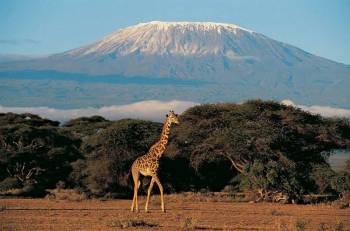 13-Day Northern Tanzania Safari And Zanzibar Adventure Tour