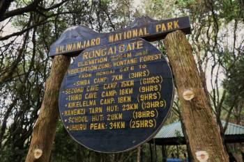 8 Days Climb Mount Kilimanjaro - Rongai Route - 79 km Tour