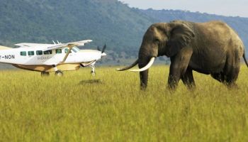 Amboseli By Air - 2 Nights