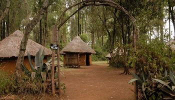 1Day Bomas Of Kenya Cultural Centre Tour