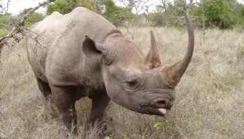 3 Days Samburu National Park Package