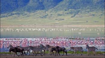 2-Day Best of Tarangire & Ngorongoro Safari