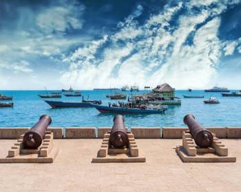 8-Day Fly in & Out Luxury Safari and Zanzibar Beach Holiday