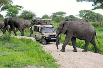 4-Day Best of Tanzania Wildlife Safari & Scenic Tour