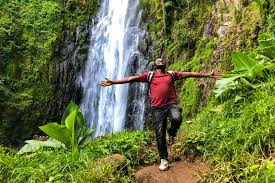 4-Day Best of Tanzania Wildlife Safari & Scenic Tour