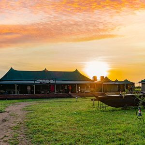 7 Days Northern Migration Luxury Adventure Tour