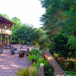 4 Day Best Safari To Tarangire Serengeti - Ngorongoro Tour