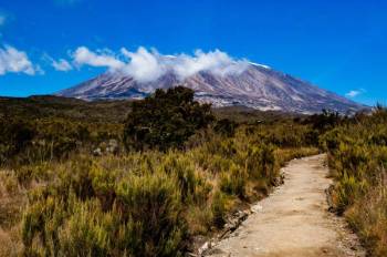 7 Days Climbing Via Rongai Route Tour