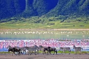 4 Days Safaris Ngorongoro and Serengeti mid-range safari