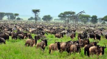 Ngorongoro Tour Packages