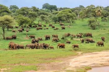 Ngorongoro Tour Packages