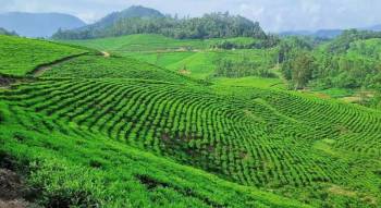Kerala Holiday Package 8 Nights - 9 Days