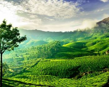 Kerala 7 Nights - 8 Days Including Kovalam Beach Tour