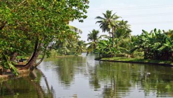 Discover Kerala 8 Days - 7 Nights Tour