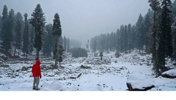 Kashmir Landscape 6 Nights - 7 Days Tour