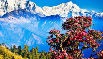 Kathmandu - Pokhara - Chitwan Package 8D 7N