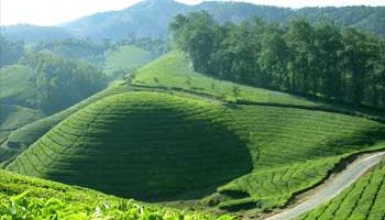 Thekkady Tour Packages