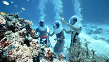 Neil Island Tour Packages