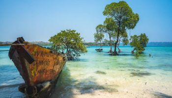 Tropical Andaman 05 Nights - 06 Days Tour