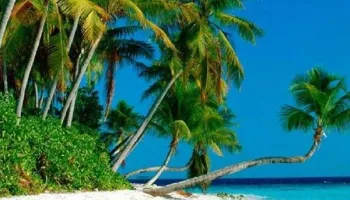 Tropical Andaman 05 Nights - 06 Days Tour