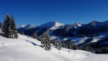 Himachal Escape 6 Nights - 7 Days Tour