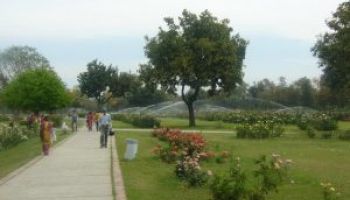 Himachal Escape 6 Nights - 7 Days Tour