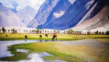 Ladakh Escape 06 Nights 07 Days