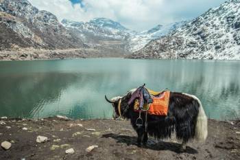 Sikkim Darjeeling Tour Package for 5 Nights and 6 Days