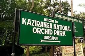 Shillong and Kaziranga Tour Package for 5 Nights and 6 Days