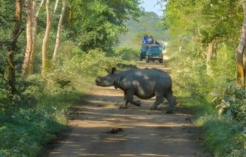 Shillong and Kaziranga Tour Package for 5 Nights and 6 Days