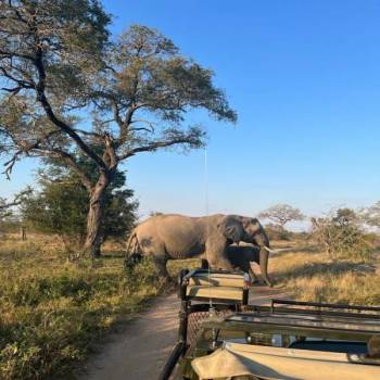 African Budget Safari 7 Days - 6 Nights Tour