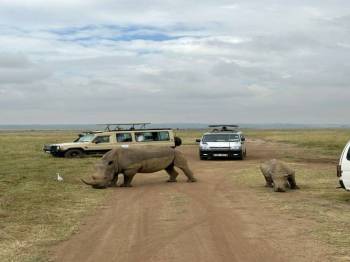 Budget Honeymoon Camping Safari 4 Days - 3 Nights Tour