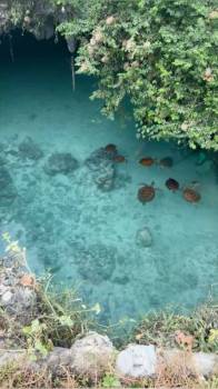 Indian Ocean Of Zanzibar 6 Days - 5 Nights Tour